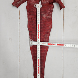 ワニ革 クレイフィニッシュ  デンスレッド　No.C008701 7枚目の画像