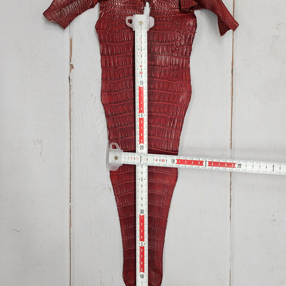 ワニ革 クレイフィニッシュ  デンスレッド　No.C008701 7枚目の画像