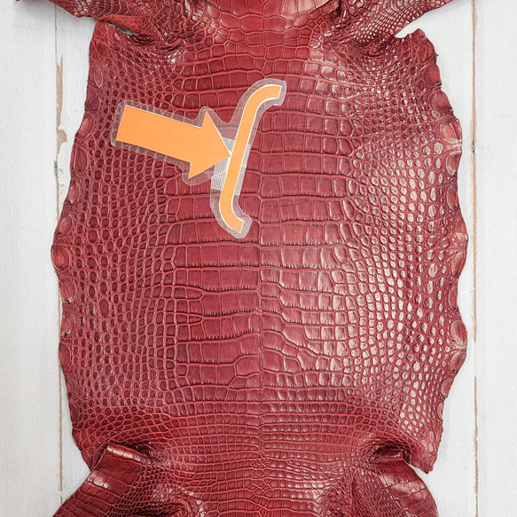 ワニ革 クレイフィニッシュ  デンスレッド　No.C008701 9枚目の画像