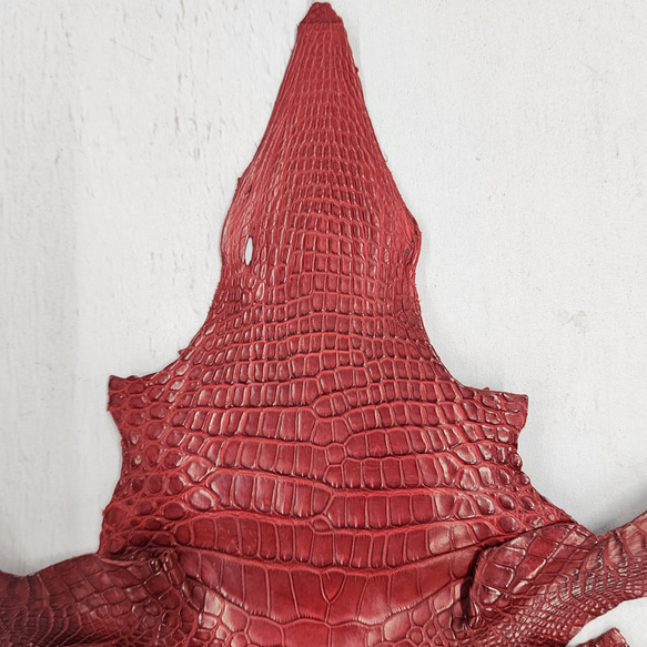 ワニ革 クレイフィニッシュ  デンスレッド　No.C008701 3枚目の画像