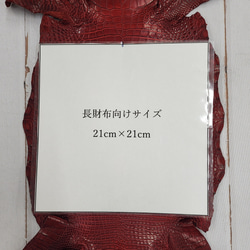 ワニ革 クレイフィニッシュ  デンスレッド　No.C008701 8枚目の画像