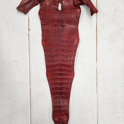 ワニ革 クレイフィニッシュ  デンスレッド　No.C008701 5枚目の画像