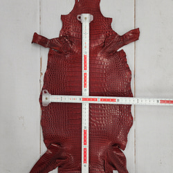 ワニ革 クレイフィニッシュ  デンスレッド　No.C008701 6枚目の画像