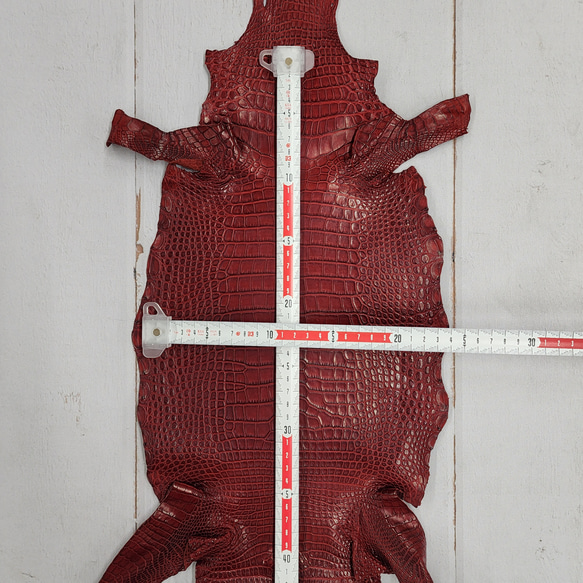 ワニ革 クレイフィニッシュ  デンスレッド　No.C008701 6枚目の画像