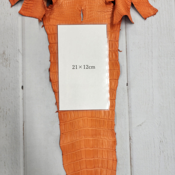 ワニ革 クロコ 半艶マット  タンジェリン　No.C008846 9枚目の画像