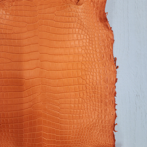 ワニ革 クロコ 半艶マット  タンジェリン　No.C008846 11枚目の画像