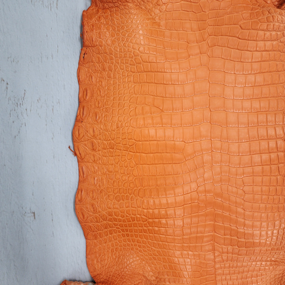 ワニ革 クロコ 半艶マット  タンジェリン　No.C008846 10枚目の画像