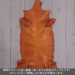 ワニ革 クロコ 半艶マット  タンジェリン　No.C008846 2枚目の画像