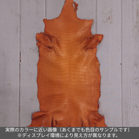 ワニ革 クロコ 半艶マット  タンジェリン　No.C008846 2枚目の画像