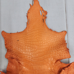 ワニ革 クロコ 半艶マット  タンジェリン　No.C008846 3枚目の画像