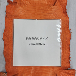 ワニ革 クロコ 半艶マット  タンジェリン　No.C008846 8枚目の画像