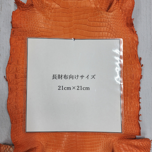 ワニ革 クロコ 半艶マット  タンジェリン　No.C008846 8枚目の画像