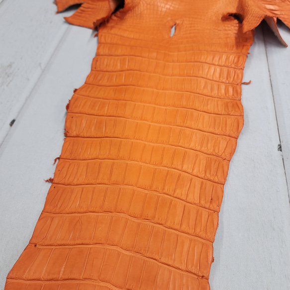 ワニ革 クロコ 半艶マット  タンジェリン　No.C008846 13枚目の画像