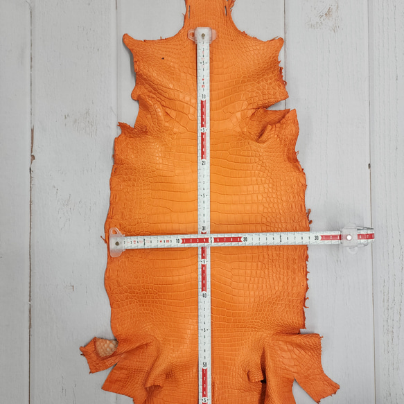 ワニ革 クロコ 半艶マット  タンジェリン　No.C008846 6枚目の画像