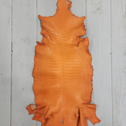 ワニ革 クロコ 半艶マット  タンジェリン　No.C008846 1枚目の画像