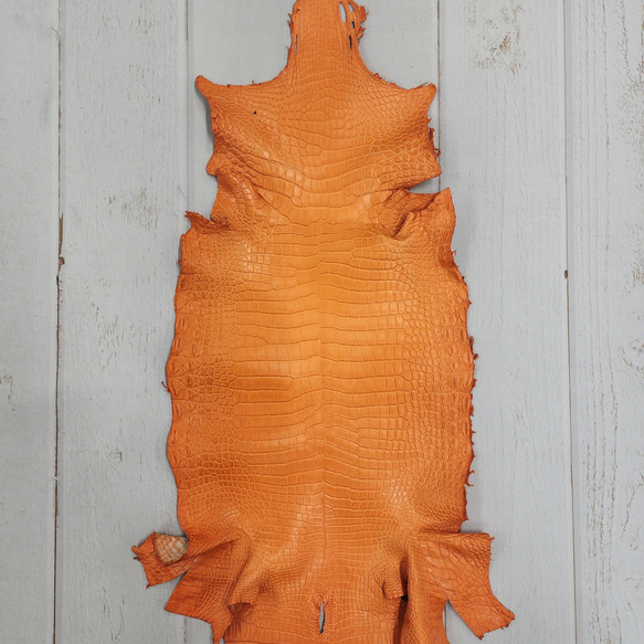 ワニ革 クロコ 半艶マット  タンジェリン　No.C008846 1枚目の画像