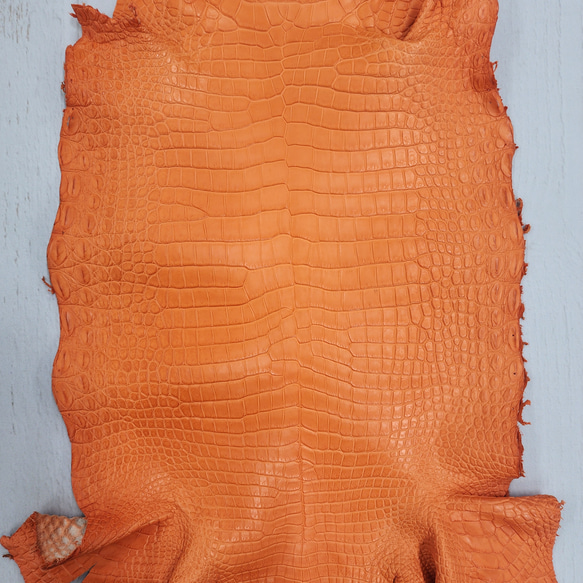 ワニ革 クロコ 半艶マット  タンジェリン　No.C008846 4枚目の画像