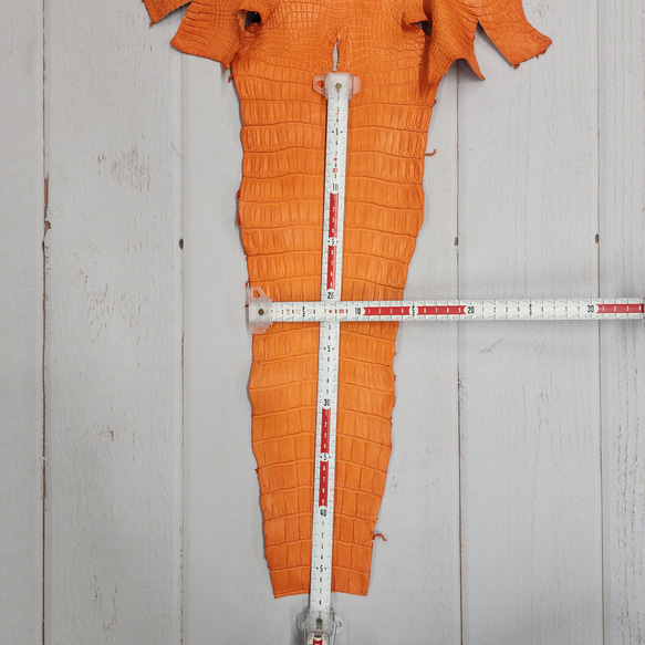 ワニ革 クロコ 半艶マット  タンジェリン　No.C008846 7枚目の画像