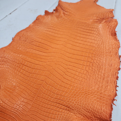 ワニ革 クロコ 半艶マット  タンジェリン　No.C008846 12枚目の画像