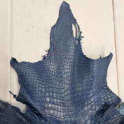 ワニ革 クロコ 半艶マット  ロイヤルブルー　No.C008751 3枚目の画像