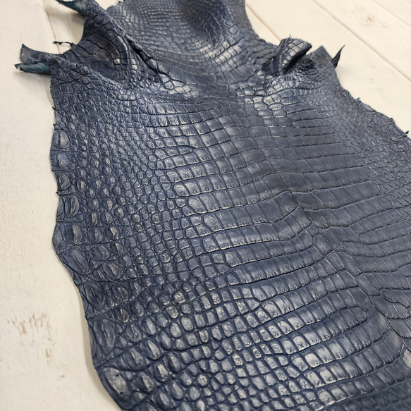 ワニ革 クロコ 半艶マット  ロイヤルブルー　No.C008751 12枚目の画像