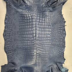 ワニ革 クロコ 半艶マット  ロイヤルブルー　No.C008751 4枚目の画像