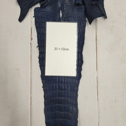 ワニ革 クロコ 半艶マット  ロイヤルブルー　No.C008751 9枚目の画像