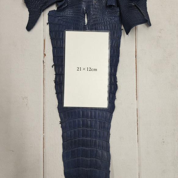 ワニ革 クロコ 半艶マット  ロイヤルブルー　No.C008751 9枚目の画像