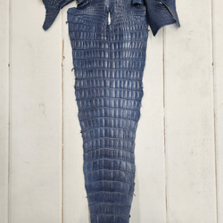 ワニ革 クロコ 半艶マット  ロイヤルブルー　No.C008751 5枚目の画像