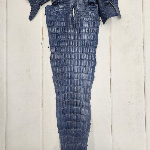 ワニ革 クロコ 半艶マット  ロイヤルブルー　No.C008751 5枚目の画像