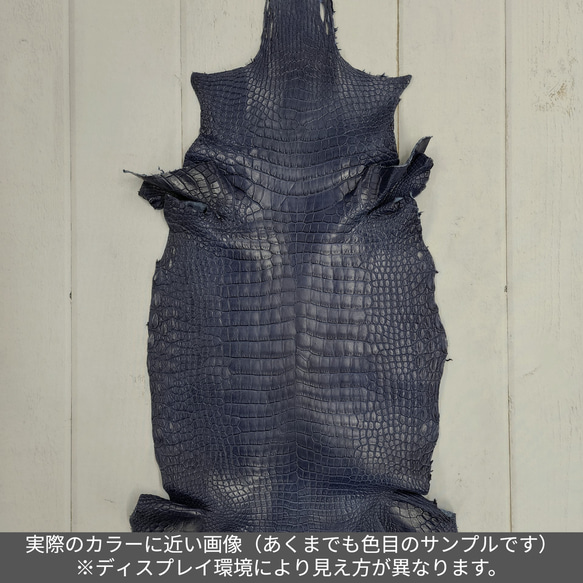ワニ革 クロコ 半艶マット  ロイヤルブルー　No.C008751 2枚目の画像
