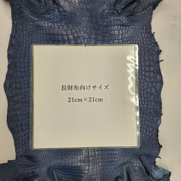 ワニ革 クロコ 半艶マット  ロイヤルブルー　No.C008751 8枚目の画像