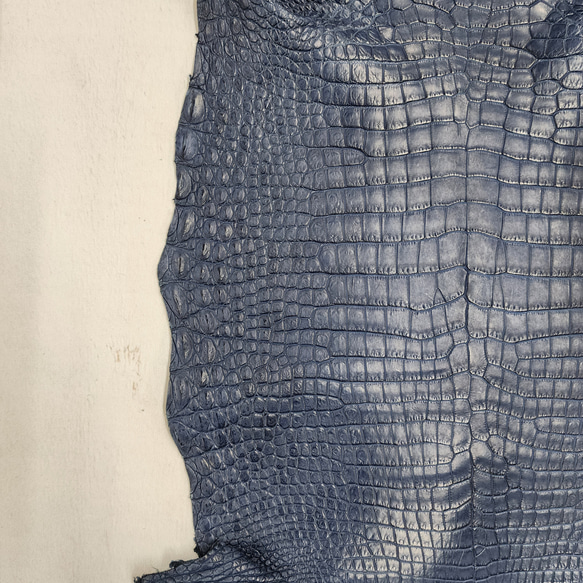 ワニ革 クロコ 半艶マット  ロイヤルブルー　No.C008751 10枚目の画像