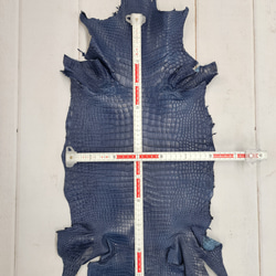 ワニ革 クロコ 半艶マット  ロイヤルブルー　No.C008751 6枚目の画像