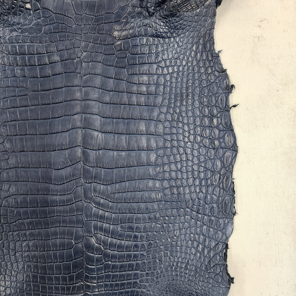 ワニ革 クロコ 半艶マット  ロイヤルブルー　No.C008751 11枚目の画像