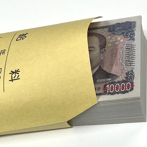 ダミー紙幣100万円札束　100枚すべて印刷　金融機関共通帯封　3束　新品 ダミー紙幣100万円札束 100枚すべて印刷 金融機関共通帯封 1束 新品