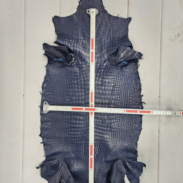 ワニ革 クロコ ヌメ・半艶マット ディープロイヤルブルー　No.C008757 6枚目の画像