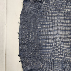 ワニ革 クロコ ヌメ・半艶マット ディープロイヤルブルー　No.C008757 10枚目の画像