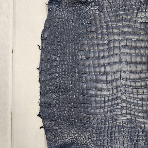 ワニ革 クロコ ヌメ・半艶マット ディープロイヤルブルー　No.C008757 10枚目の画像
