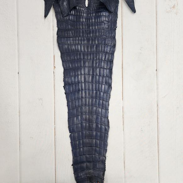 ワニ革 クロコ ヌメ・半艶マット ディープロイヤルブルー　No.C008757 5枚目の画像