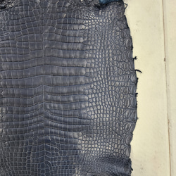 ワニ革 クロコ ヌメ・半艶マット ディープロイヤルブルー　No.C008757 11枚目の画像