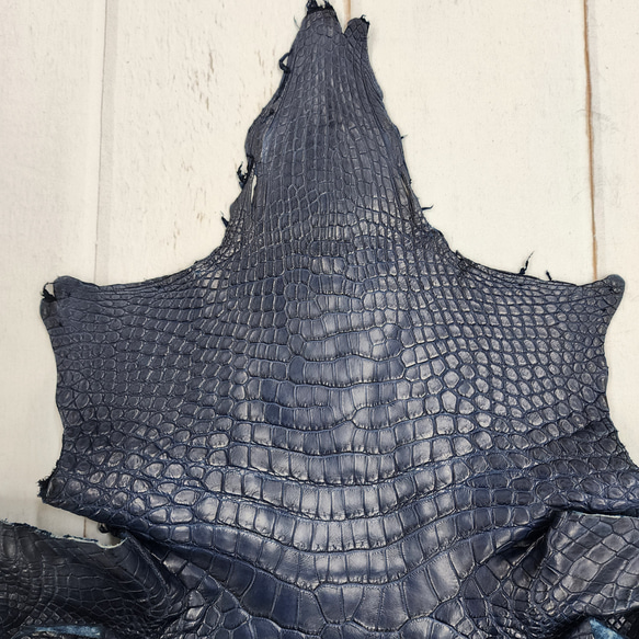 ワニ革 クロコ ヌメ・半艶マット ディープロイヤルブルー　No.C008757 3枚目の画像