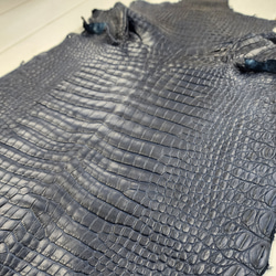 ワニ革 クロコ ヌメ・半艶マット ディープロイヤルブルー　No.C008757 12枚目の画像