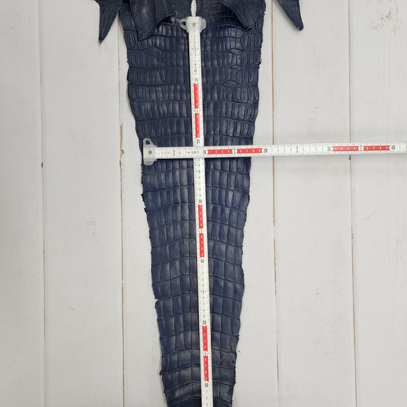 ワニ革 クロコ ヌメ・半艶マット ディープロイヤルブルー　No.C008757 7枚目の画像