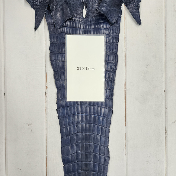 ワニ革 クロコ ヌメ・半艶マット ディープロイヤルブルー　No.C008757 9枚目の画像