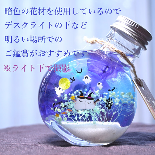 選べるハロウィン！再販】どっちのパーティーに参加する？シマエナガ