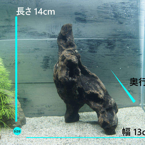 アク抜き不要！水に沈む状態でお届けします』アクアリウム 流木 あく