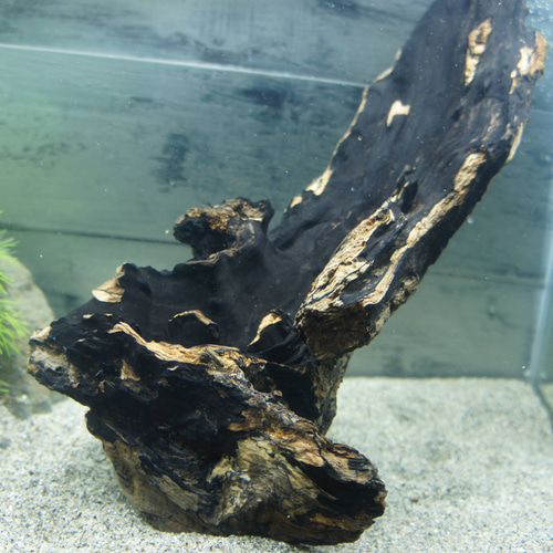 アク抜き不要！水に沈む状態でお届けします』アクアリウム 流木 あく