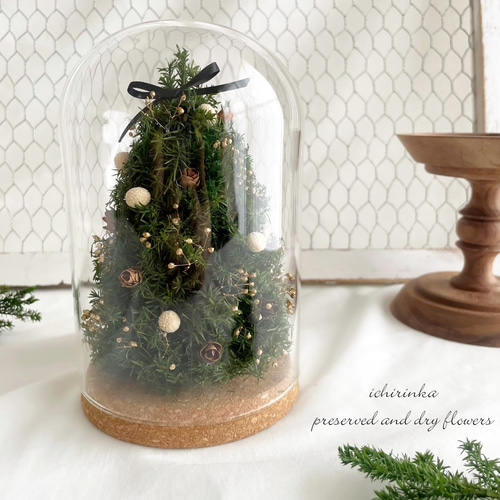 ガラスドームに閉じ込めた小さなクリスマスツリー ナチュラル