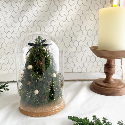 ガラスドームに閉じ込めた小さなクリスマスツリー ナチュラル